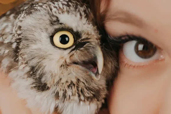 Kasino Fever Bingo Sokongan